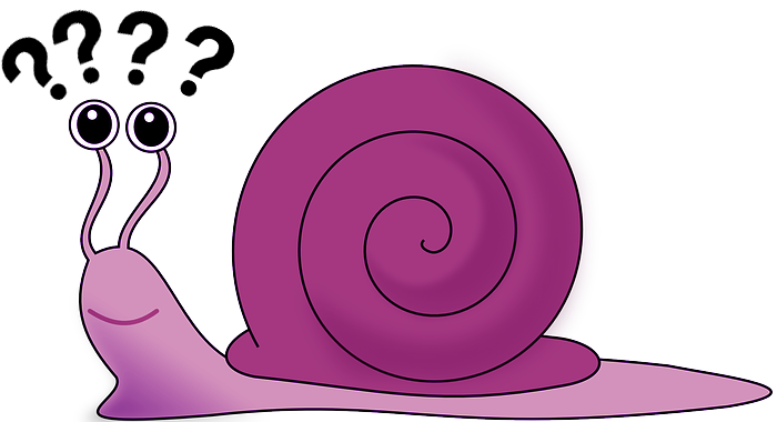 Question Snail